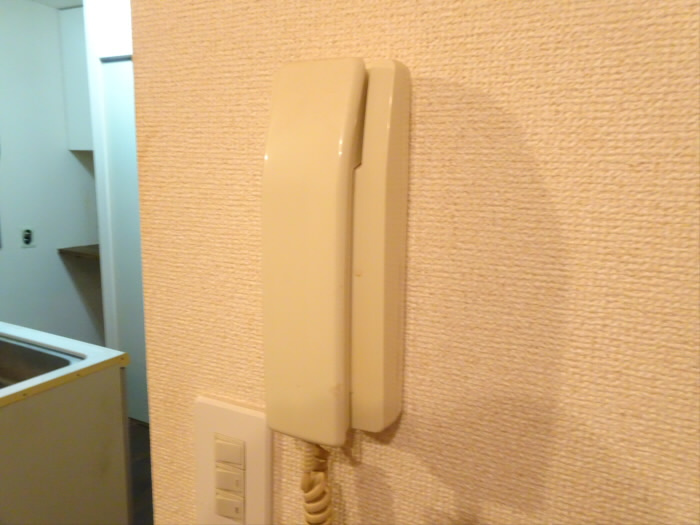 ローズトレミエールの収納|収納があります