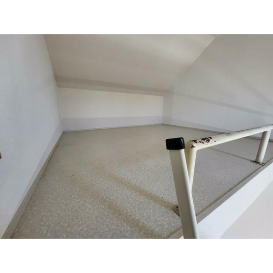【展望】 | カミーノ豪徳寺