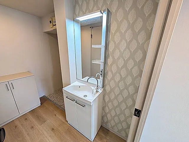 神戸市東灘区田中町２丁目の賃貸マンションの洗面所