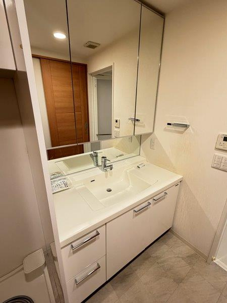 神戸市中央区栄町通６丁目の賃貸マンションの独立洗面台