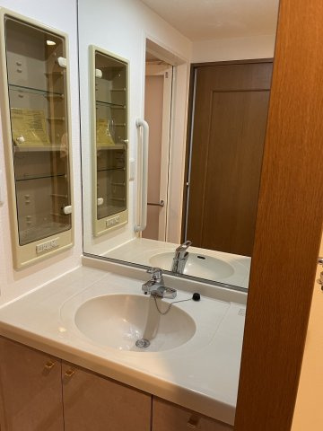 本駒込Kマンションの洗面所