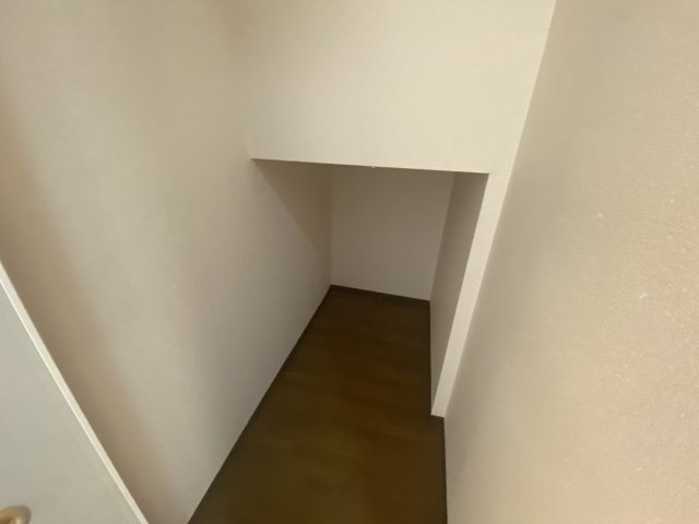 豊中市永楽荘三丁目戸建B棟の収納|階段下収納です！