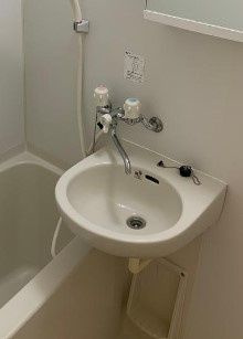 オレンジコート向島の洗面所