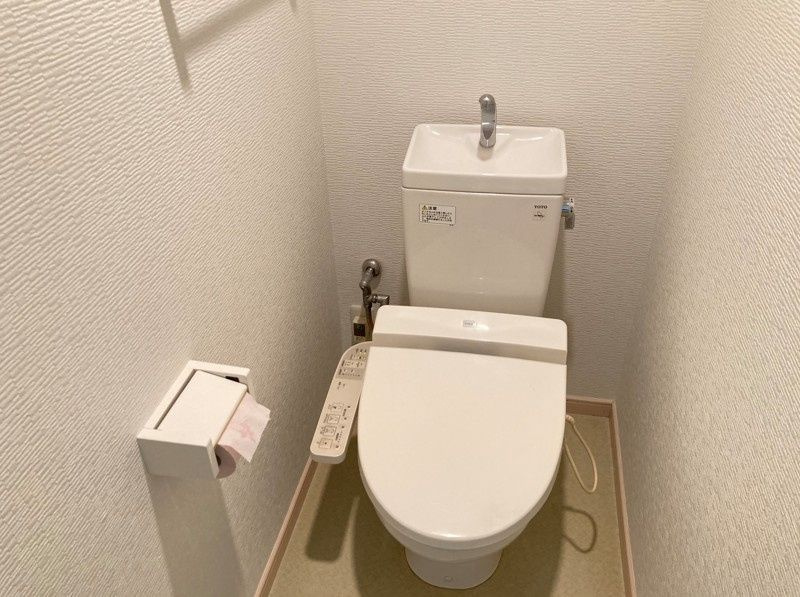 リヴドピエールのトイレ
