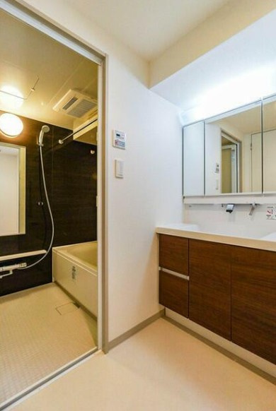 台東区寿２丁目の賃貸マンションの洗面所
