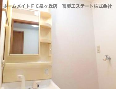 シャンドフルールの洗面所