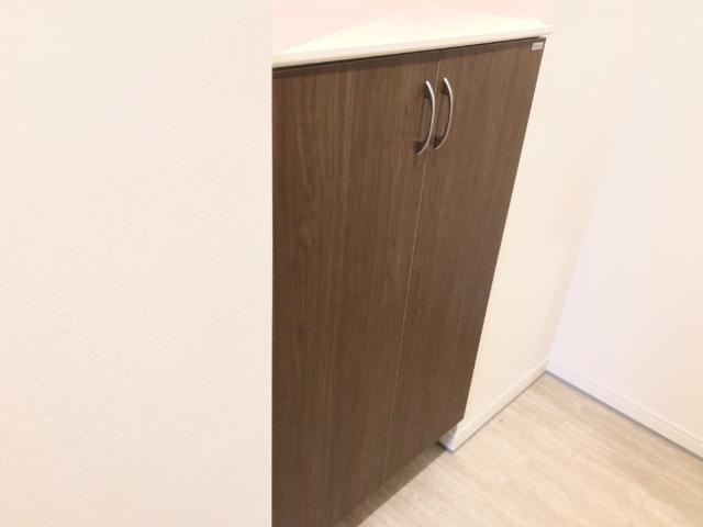 Raffine Portの収納|下駄箱