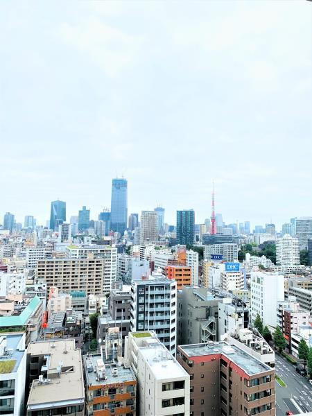 白金ザ・スカイ東棟のその他