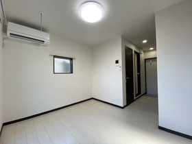 アネシス・ロジェのその他