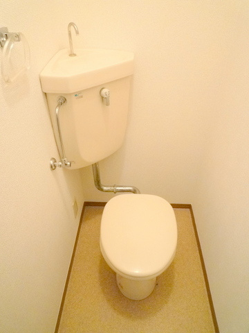 ドミールTのトイレ
