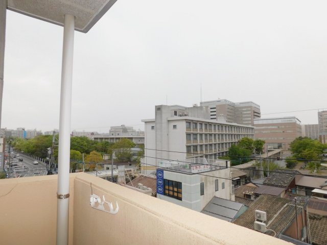 【展望】 | サンフォード