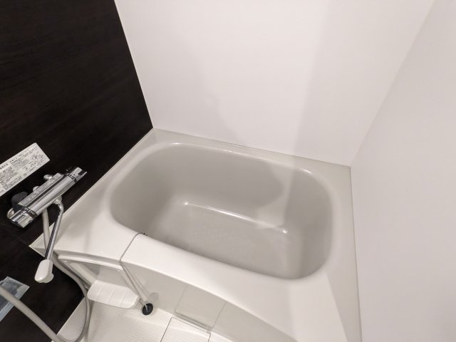 ケーディーエックスレジデンス豊洲の浴室|日々の暮らしに欠かせないお風呂です