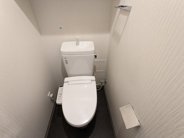 ケーディーエックスレジデンス豊洲のトイレ|清潔感のあるトイレです