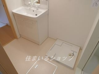 グリーンワールド　Ⅲの洗面所|シャンプードレッサー