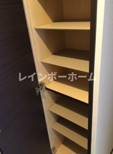 レオネクストグラードの収納