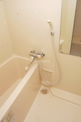 エイペックス松屋町ヴァンデュールの浴室