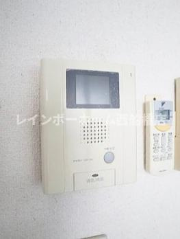 フォルス11のセキュリティ