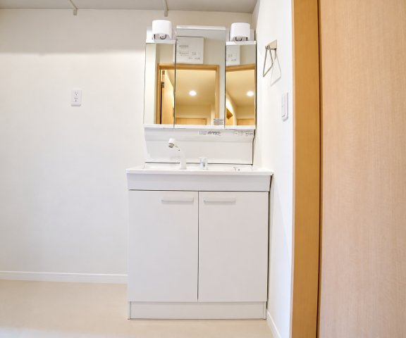 シャーメゾン京都稲荷の洗面所