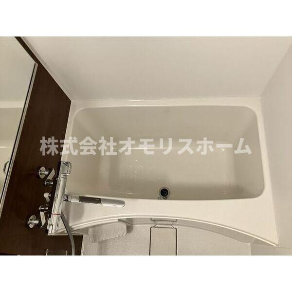 ディアレイシャス蒲田IIの浴室