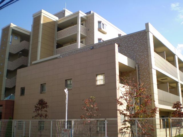 MOMOKI