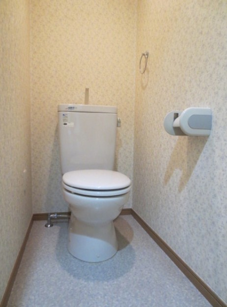 Maison de Pivoinのトイレ