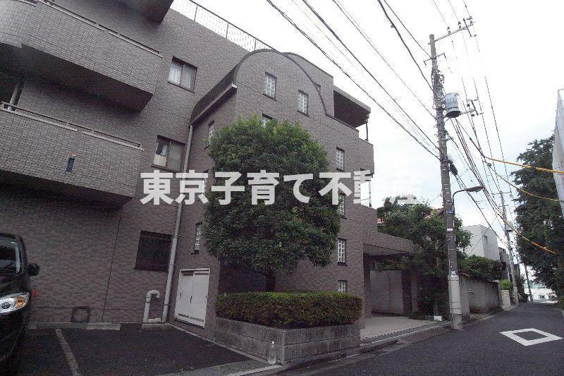 ピトレスク弥生のその他