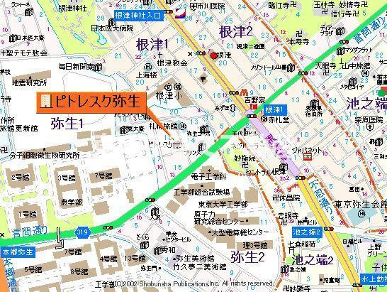 ピトレスク弥生の地図