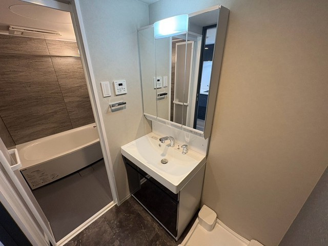 S-RESIDENCE東観音町achieveの洗面所