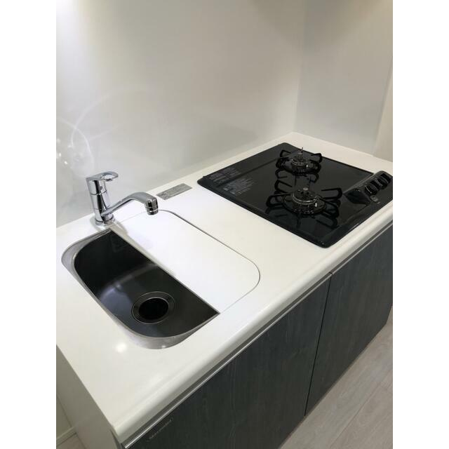 エストゥルース両国のキッチン