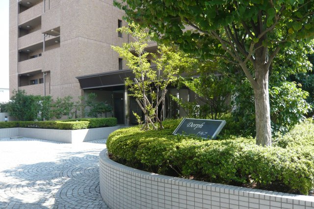 【エントランス】 | ドルフ | 建物のエントランスです