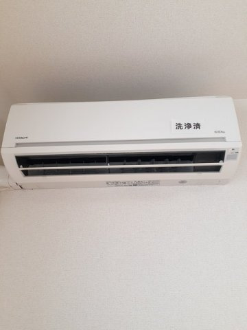 ベリーデ・Ｔのその他