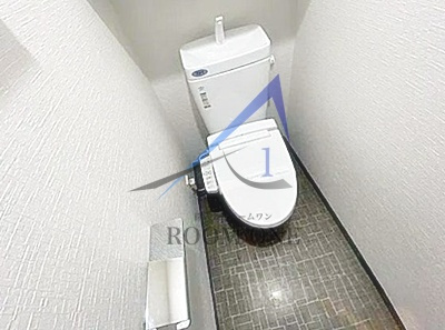 DIPS東十条のトイレ|トイレです。