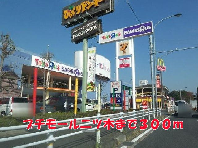 クレードル　二ツ木の周辺|プチモール二ツ木まで300m