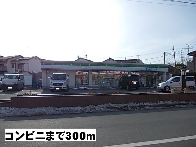 ファインアベニューⅣの周辺|ファミリーマートまで300m