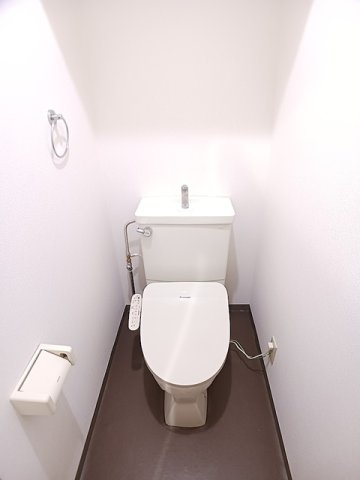 ドミール竹ノ塚のトイレ