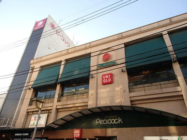Ｋ・Ｉメゾン自由が丘のその他|ピーコックストア自由が丘店