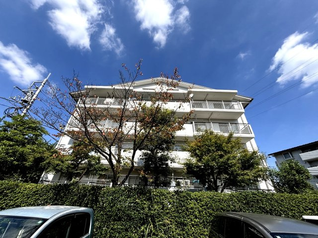 外観もきれいです