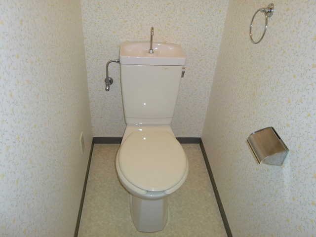 神戸市灘区大石東町２丁目の賃貸マンションのトイレ