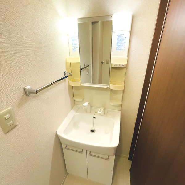 シェモア東が丘の洗面所