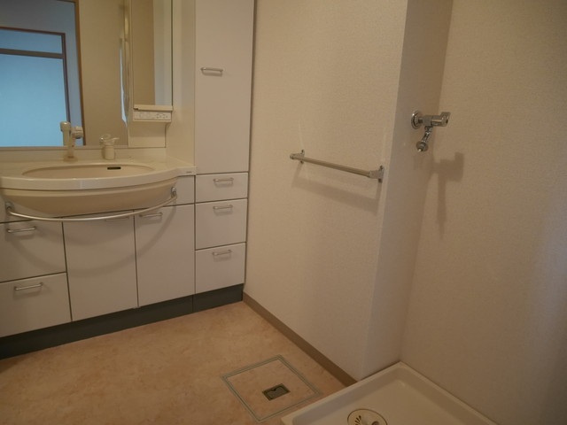 岡山市北区駅元町の賃貸マンションの洗面所
