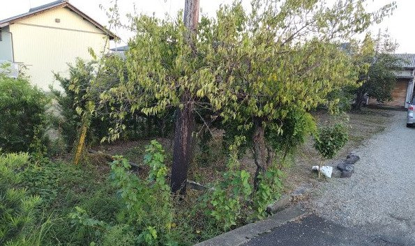 ６６８３５　岐阜市鏡島東３丁目土地の外観