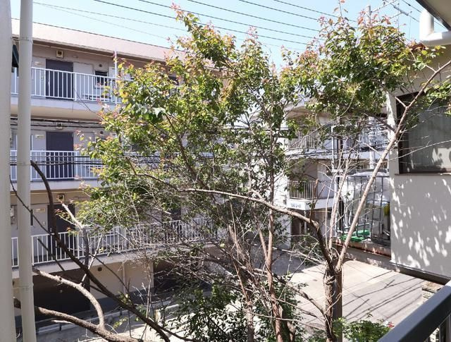 府中市住吉町１丁目戸建の展望