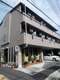 アビニオンカワナの画像