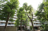 シーアイハイツ和光B棟の画像