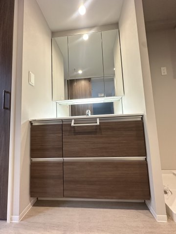 S-RESIDENCE愛宕SOUTHの洗面所