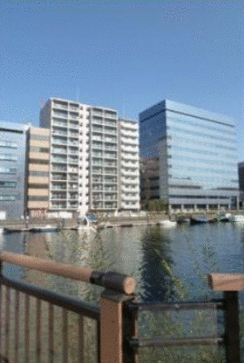 Log新川のその他