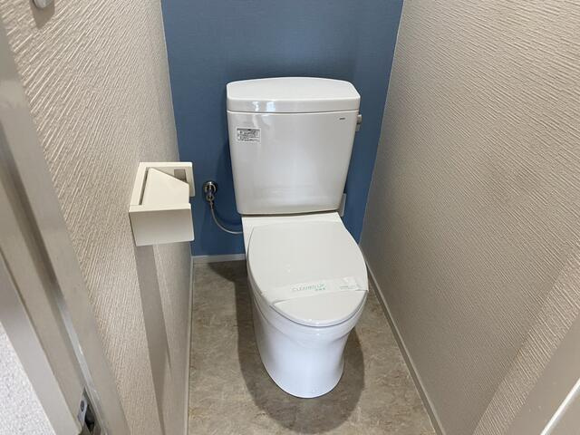 メゾンサトウのトイレ