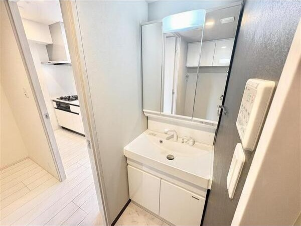 S-RESIDENCE千種belvia TOWER(べルヴィアタワー)の洗面所