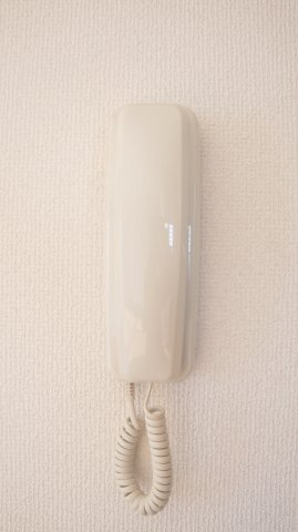 サンフルーレのセキュリティ