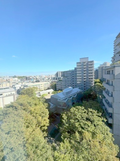パークハウス多摩川北参番館の展望